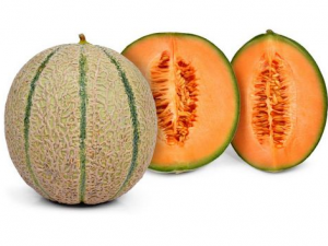 ��Щʳ��ű�����׻� һ����������