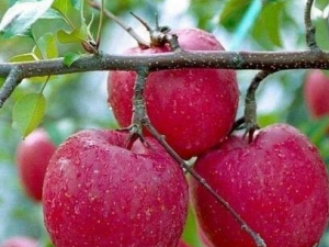 ��ɫˮ����Ч��˥�� ��ɫˮ����˥�ϵķ���