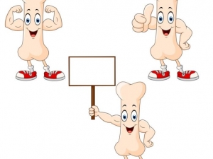 ţ����Ӹ�Ƭ��������ʲô?�ܰ������Ӳ�����ǿ��������?