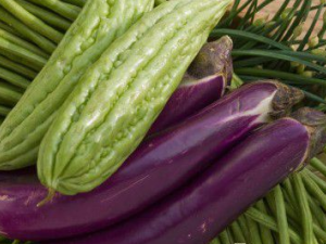 �ļ�����Ӧ��Կ��� Ƣθ�麮���˳Կ�̫��