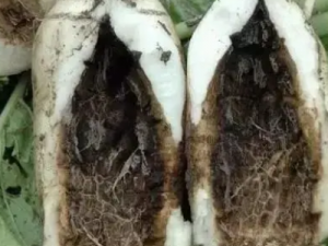 ���Ľ�����Щ��Ч ���Ľ�����ʪ��ʹ