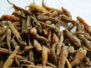 �ԶԲεĹ�Ч���� �ԶԲ���������ʹ