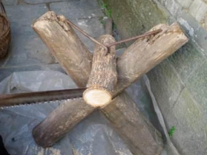 ��ľ��Ĺ�Ч ��ľ���ε�������