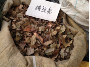 �ᾭϯ�Ĺ�Ч �ᾭϯ�ε�������