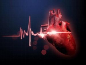 �ɶ������ĸ�����Ч����?��Զ�����?