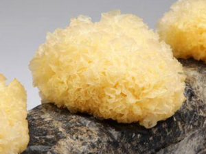 �������������Ҫע���� С����Щ������ж�