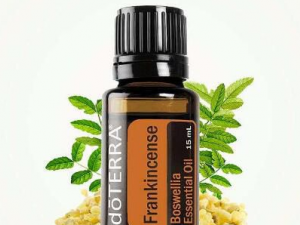 ���㾫�͵Ĺ�Ч ���㾫�Ϳ���������