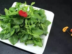 ��������Щ���˵������ �������ʱҪע����Щ����