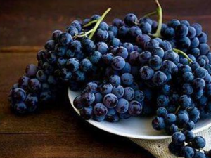 ��Щʳ�������ò�Ҫһ��� ʳ����䲻���׸�к