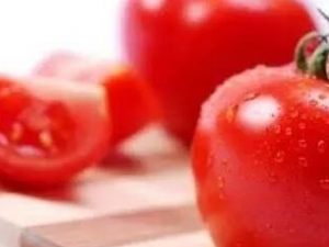 ������������� С���Ƽ������������ʳ��