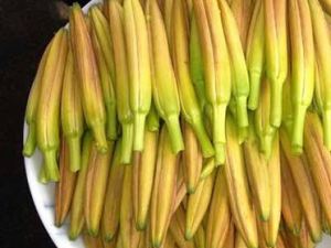 5��ʳ�����Դ��������� ��֪����