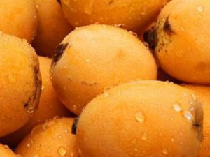 �����ʺϳ���Щˮ�� С���Ƽ�����ˮ��