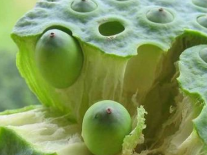 �ļ�����������Щ�ô� ������Ҫע��Ľ���