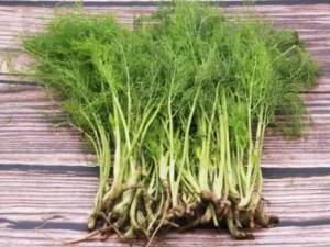 ����������Щ��Ч �����������ڻ��⾷��