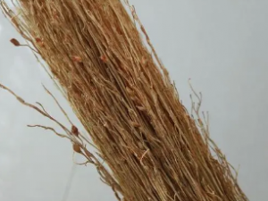 ˢ�Ѳݸ��Ĺ�Ч ˢ�Ѳݸ������ڷ�ʪ��ʹ