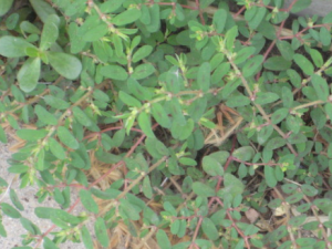 �ؽ��ȵĹ�Ч �ؽ�����������