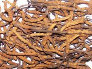 �س����Ĺ�Ч �س�����Ƥ������֢