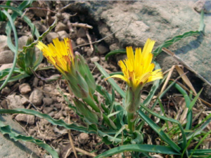 ѻ�еĹ�Ч���� ѻ�пɿ���к