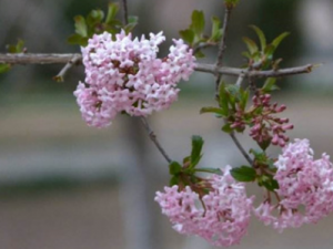 �˲����o����Щ��Ч �˲����o����ʪ���η�ʪ��ʹ