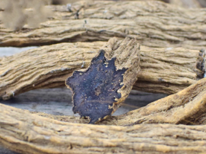 Ԫ�εĹ�Ч���� Ԫ����������ӪѪ