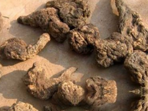 ����Ĺ�Ч���� ��������С�����