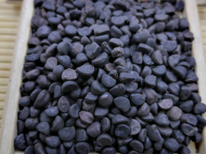 �ڳ�Ĺ�Ч���� �ڳ��ν���������