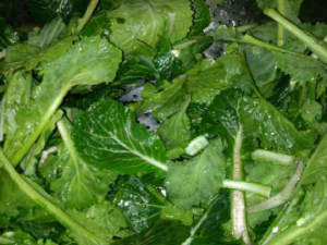 �ڲ˵Ĺ�Ч���� �ڲ˿���ǿ���������������