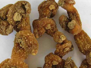 ������� ���� С���Ƽ��ƾ�ʳ�Ʒ�