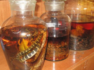 ���׸�ð����ע���� С���Ƽ�һЩԤ����ð��ҩ��