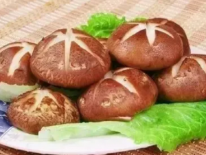 �����㹽����Щ�ô� �����㹽����������