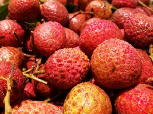 ���򲡲��ܳ�ʲôˮ�� һ����������