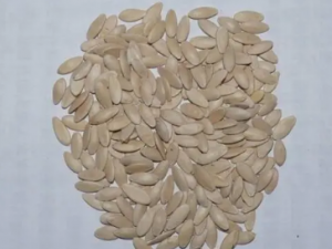 �ƹ��ӵĹ�Ч �ƹ��������۽���