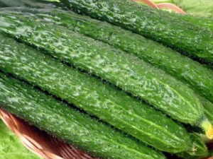 ƹ˪ĹЧ ƹ˪ֹʹ۳ʹ