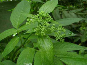 ���ò��ʱ����ЩҪע��� ���ò�����ʳ����