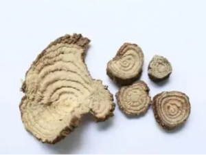 ����½�����Ĺ�Ч ����½��������̦�����׻�