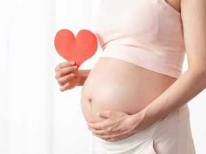 ����Ӫ��ָ�ϣ����������и�����ά����Ƭ������