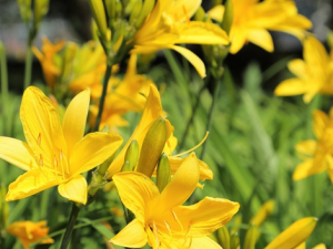 �߲����Խ����� ��Щ�߲����Ի��ж�