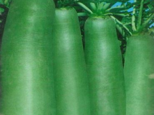 �ܲ���Ӫ����ֵ  �����ѡ�ܲ�