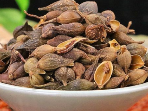 ��ޢ�ʵĹ�Ч���� ��ޢ����С������