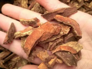 ����Ƥ�Ĺ�Ч���� ����Ƥ������ʪɱ��ֹ��