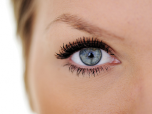 ���ϳ���������ô���� �λ������Ͼͻ᳤������