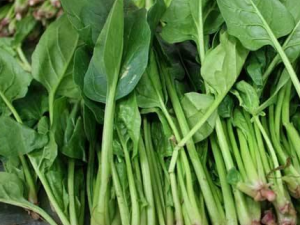 �߲˵�9�ֳԷ���Ӫ���ܹ�