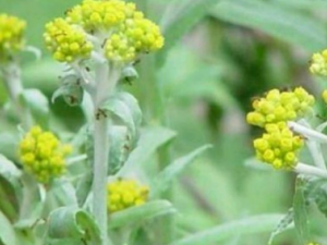 ����ݵĹ�Ч �������������֧������