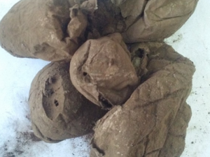 ������Ĺ�Ч���� ���������ʧ������