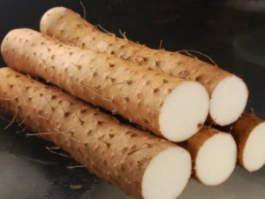 ���̴��ߵ�ԭ�� ���̴������Ӧ��