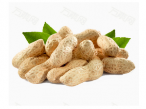 3���˲��˳Ի��� ��Щ�˳Ի������ܻ�Σ������