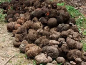 ��ݹ�Ĺ�Ч���� ��ݹ���Ʋ���ʹ�丹��ʹ