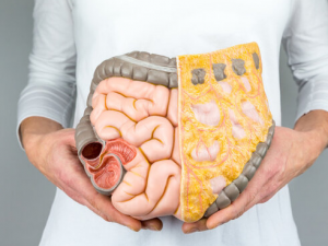 ���ܻ�������ʪ�� С����������ȷ�Խ�