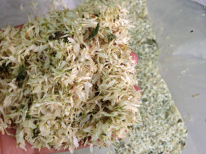 ��ĩ�ӵĹ�Ч���� ��ĩ�ӿ�������֫����