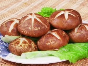 �ﶬ�������Ӧ�� С���Ƽ�����ů��ʳ��